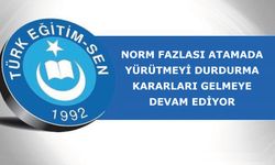 Norm Fazlası Atamada Yürütmeyi Durdurma Kararları Gelmeye Devam Ediyor