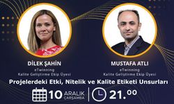 Projelerdeki Etki, Nitelik ve Kalite Etiketi Unsurları