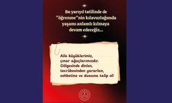 Çınar ağaçlarımız