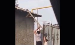 Erzincan'da kedi kurtarma operasyonu