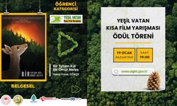 Yeşil Vatan’ı sanatla anlatan filmler ödülleriyle buluşuyor