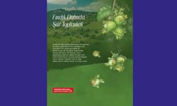 Adem ÖNER’den “Fındık Dalında Şiir Toplamak” denemesi ÖğretmenİZ dergisinde!