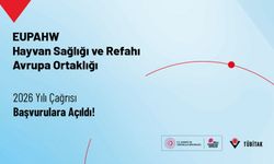 EUPAHW-Hayvan Sağlığı ve Refahı Avrupa Ortaklığı 2026 Yılı Çağrısı Başvurulara Açıldı