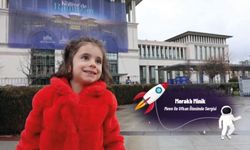 Meraklı Minik Meva ile Ufkun Ötesinde Sergisi