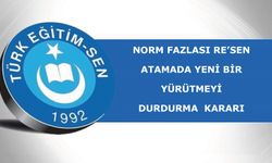 Norm Fazlası Re’sen Atamada Yeni Bir Yürütmeyi Durdurma  Kararı