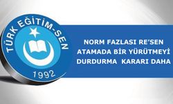 Norm Fazlası Re’sen Atamada Bir Yürütmeyi Durdurma Kararı Daha