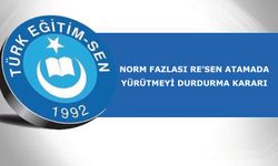 Norm Fazlası Re’sen Atamada Yürütmeyi Durdurma Kararı