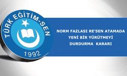 Norm Fazlası Re’sen Atamada Yeni Bir Yürütmeyi Durdurma  Kararı