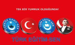 Tek Bir Yumruk Olduğunda!