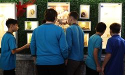 Öğrenciler, Okulda Kurulan Müzeyle Doğayı Okul Ortamında Keşfediyor