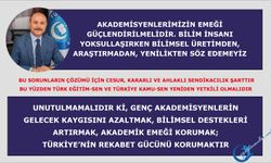 Akademisyenlerimizin emeği güçlendirilmelidir