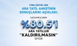 Türk Eğitim Sen Ara Tatil Anketinin Sonuçlarını Açıkladı