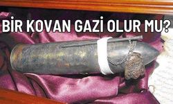 Bir kovan gazi olur mu?