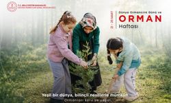 Orman, korunduğu kadar vardır