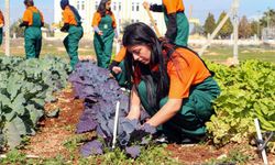 Öğrenciler, tarımı uygulayarak öğreniyor