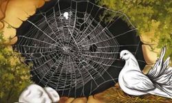 Hira’dan Bir Eğitim Perspektifi Hira Mağarası’nı görmek