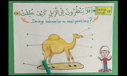 Deveye hiç bakmazlar mı, nasıl yaratılmış?