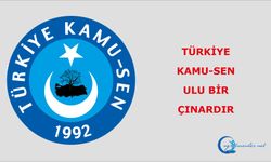 Türkiye Kamu-Sen ulu bir çınardır