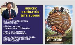 Gerçek karikatür işte budur!