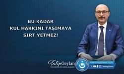 Bu Kadar Kul Hakkını Taşımaya Sırt Yetmez!