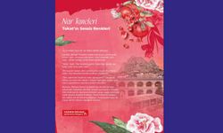 Deniz BÜYÜKBALYA’dan “Nar Taneleri – Tokat’ın Sessiz Renkleri”