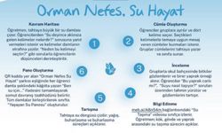 Su Verimliliği Ayı Etkinliği: “Orman Nefes, Su Hayat”