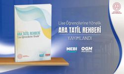 Lise Öğrencilerine Yönelik "Ara Tatil Rehberi" Yayımlandı