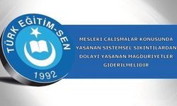 Mesleki Çalışmalar Konusunda Yaşanan Sistemsel Sıkıntılardan Dolayı Yaşanan Mağduriyetler giderilmelidir