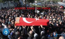 Şiddete Karşı Tek Yürek