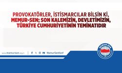 MEMUR-SEN; Son Kalemizin, Devletimizin, Türkiye Cumhuriyetinin Teminatıdır