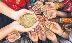 Zekâtı sadece “Ne kadar verilir?” hesabıyla değil, “Neden verilir?”