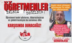 ÖĞRETMENLERİMİZ YALNIZ DEĞİLDİR!