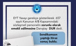 Sözleşmeli personelin zorunlu olarak emekli edilmesine Danıştay DUR dedi