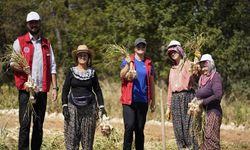 Genç Çiftçi Projesi Kapsamında Gönüllü Hasat