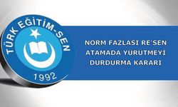 Norm Fazlası Re’sen Atamada Yürütmeyi Durdurma Kararı