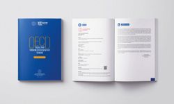 OECD Yapay Zekâ Yetkinlik Göstergelerinin Tanıtımı Raporu
