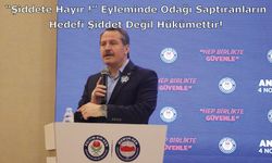 “Şiddete Hayır !” Eyleminde Odağı Saptıranların Hedefi Şiddet Değil Hükümettir!