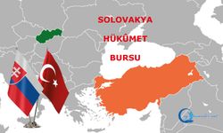 Slovakya Ulusal Burs Programı