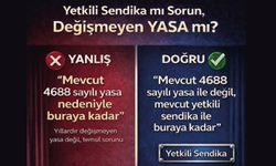 Yetkili Sendika mı, Değişmeyen Yasa mı Sorun?