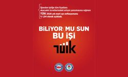 Biliyor (Mu) Sun Bu İşi TÜİK