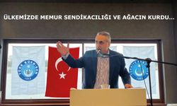 ÜLKEMİZDE MEMUR SENDİKACILIĞI VE AĞACIN KURDU…