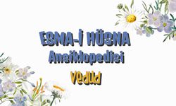 “Esma-i Hüsna Ansiklopedisi” video serisinde “Vedud” ismiyle sizlerleyiz