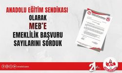 AES; Öğretmen ve eğitim kurumu yöneticilerinin emeklilik ön başvuru sayılarını istedi