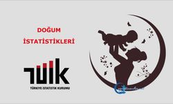 Doğum İstatistikleri