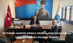 Seyyanen zammın emekli memurların maaşlarına yansıtılmaması dilekçe örneği