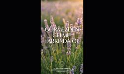 GÖRMEZDEN GELME! FARKINDA OL