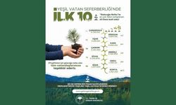 En çok fidan sahiplenen ilk 10 ilimiz