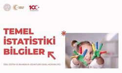Temel istatistiki bilgiler