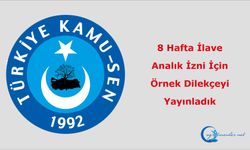 8 Hafta İlave Analık İzni İçin Örnek Dilekçeyi Yayınladık