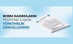 Norm Kadroların Tespitine İlişkin Yönetmelik  Güncellensin!